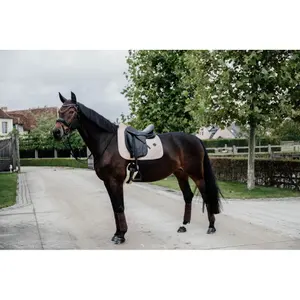 Dressage saddle pad for horses Kentucky Wool image-1