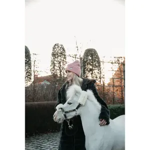 Muts Kentucky Sammy image-1