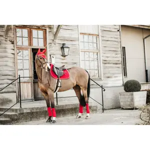 Bonnet pour cheval Kentucky Wellington Velvet image-3