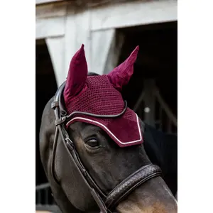 Czapka Kentucky Wellington Velvet image-1