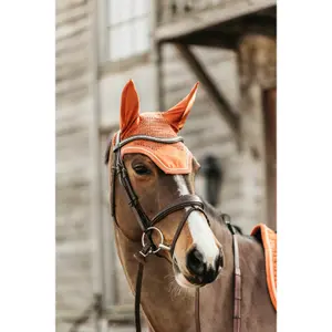 Καπέλο Kentucky Wellington Velvet image-1