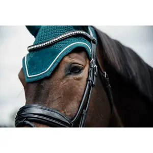 Fliegenhaube Kentucky Wellington Velvet image-1