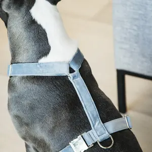 Dog harness Kentucky Loop Velvet image-1