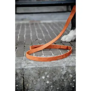 Laisse pour chien Kentucky Velvet image-1