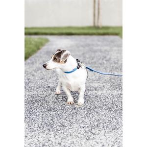 Hundeleine aus geflochtenem Nylon Kentucky 120 cm image-1