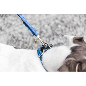 Hundeleine aus geflochtenem Nylon Kentucky 120 cm image-2