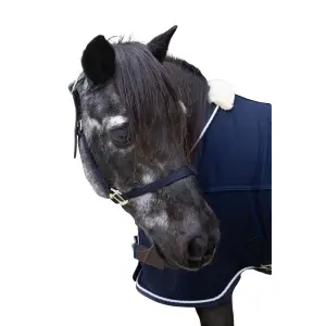 Cabestro de nylon Kentucky Breakaway image-1