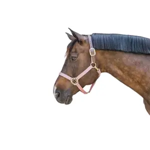 Cabestro de nylon Kentucky Breakaway image-1