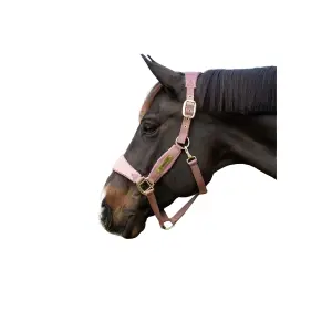 Licol pour cheval Kentucky Velvet Unicorn Glitter image-1