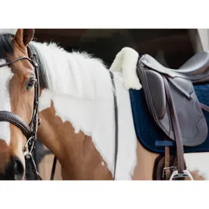 Esteira de dressage para cavalos Kentucky Skin Friendly velvet image-6