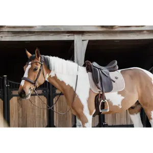 Dressage saddle pad  Kentucky Skin Friendly velvet image-5