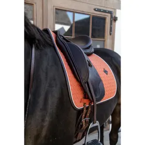 Mantilla equitación de doma  Kentucky Classic Leather image-4