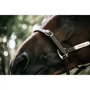 Leather halter for flexible horse Kentucky image-2