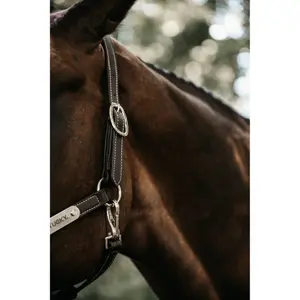 Leather halter for flexible horse Kentucky image-3