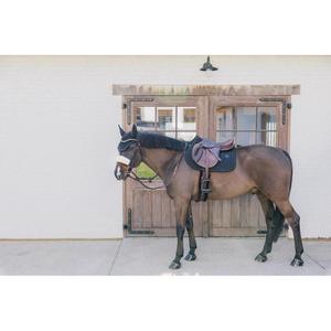 Estera de doma para caballos Kentucky image-1