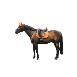 Tapis de dressage pour cheval Kentucky Diamond Rope image-0