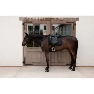Dressage saddle pad for horses Kentucky Sparkling image-1