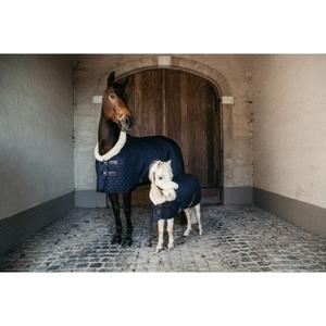 52101-03-1-presentatie-omslag-kentucky-160-g-donkerblauw