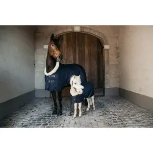 52101-03-1-prasentationsdecke-kentucky-160-g-dunkelblau