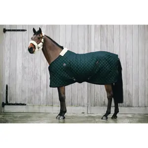 Stable cover Kentucky 400 g image-1