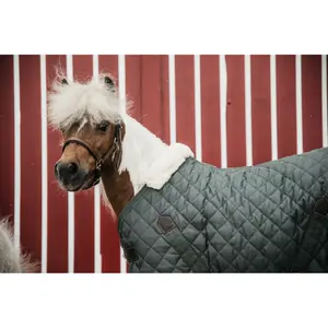 Couverture d'écurie pour cheval Kentucky 400 g image-1