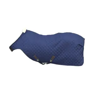 Horse walker blanket Kentucky Walker 160 g