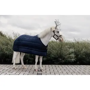 Disfarçado para cavalos Kentucky Skin Friendly - 300 g image-1