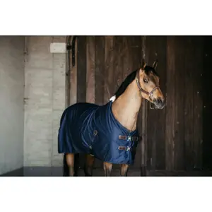 Hestetrøje i bomuld Kentucky image-1