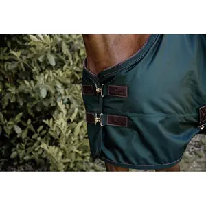 Wasserdichte Outdoor-Decke für Pferde Kentucky All Weather Pro 160 g image-3