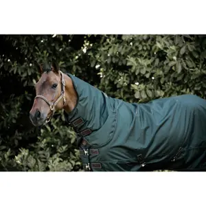 Waterproof outdoor blanket Kentucky All Weather Pro 160 g image-3