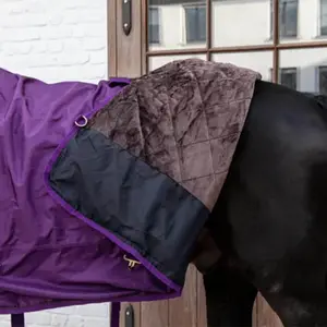 Waterproof outdoor horse blanket Kentucky Pro image-2