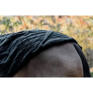 Stalldecke Kentucky 0 g image-5