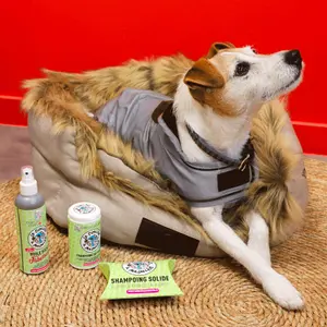 Manteau pour chien réfléchissant et déperlant Kentucky image-1