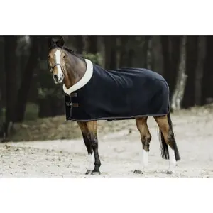 Drying shirt for horses Kentucky