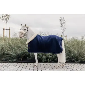 Presentation blanket for horse Kentucky Show Heavy image-1