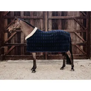 Couverture de présentation pour cheval Kentucky Show Heavy image-1