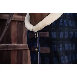 Couverture de présentation pour cheval Kentucky Show Heavy image-2