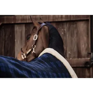 Couverture de présentation pour cheval Kentucky Show Heavy image-4