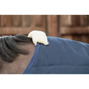 Stabiele dekking Kentucky Classic 100 g image-4