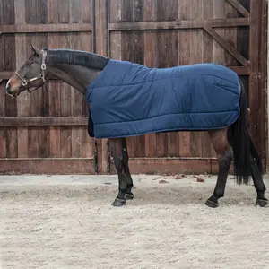 Disfarçado para cavalos Kentucky Classic 200 g image-0