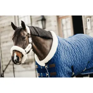 Stable blanket velvet Kentucky 160g image-2