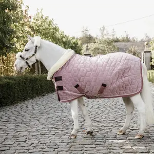 Presentation blanket for horse Kentucky Velvet 160 g image-1
