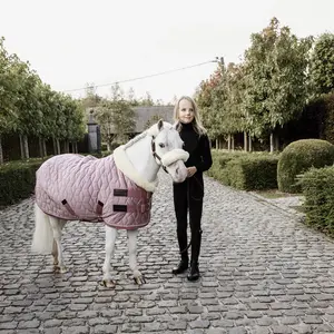 Presentation blanket for horse Kentucky Velvet 160 g image-2