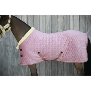 Stable blanket velvet Kentucky 160g image-2