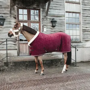 Presentation blanket for horse Kentucky Velvet 160 g image-1