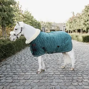 Presentation blanket for horse Kentucky Velvet 160 g image-1