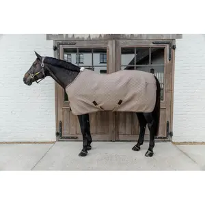 Drying shirt for horses Kentucky 4D Spacer image-1