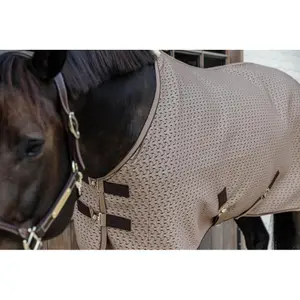 Drying shirt for horses Kentucky 4D Spacer image-4