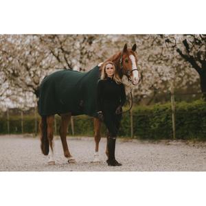 Drying Rug Kentucky 4D Spacer image-1