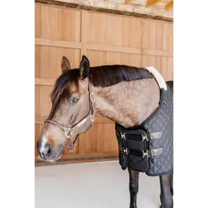 Veganistisch schapenvacht gevoerde borstverlenging voor paarden Kentucky image-2